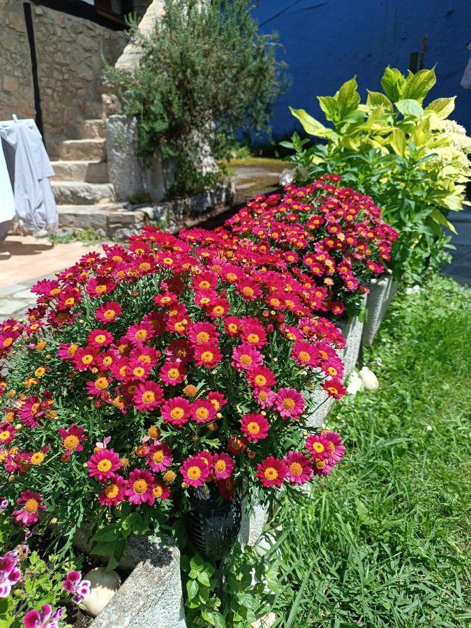 Mar Tu Apartamento En Llanes Zewnętrze zdjęcie